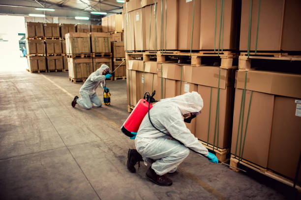 Best Mosquito Control Services  in Sugar Grove, IL