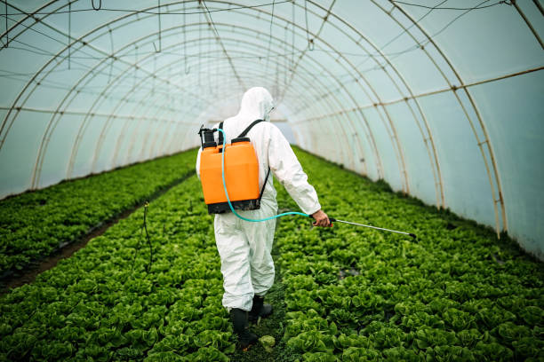 Best Emergency Pest Control  in Sugar Grove, IL