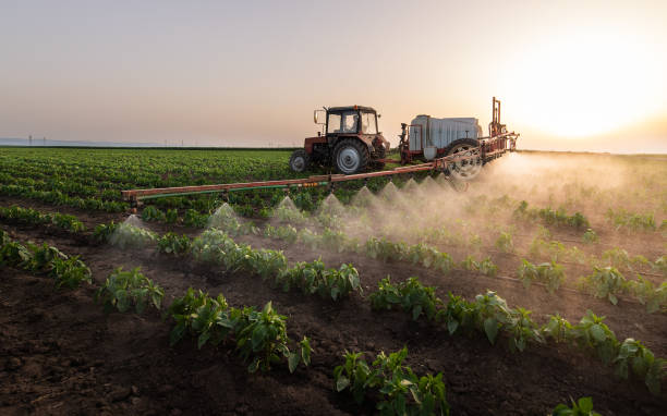 Best Pest Control Near Me  in Sugar Grove, IL