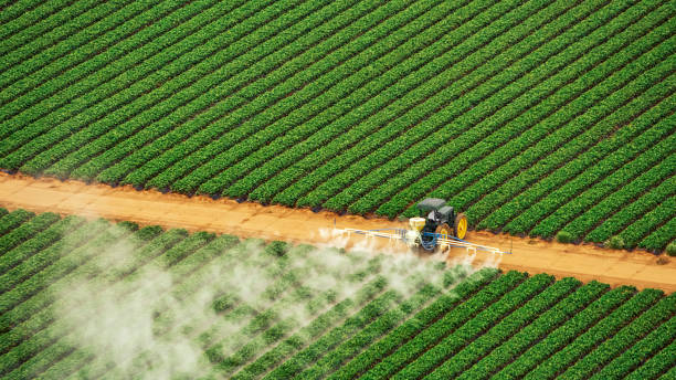 Best Termite Control Services  in Sugar Grove, IL