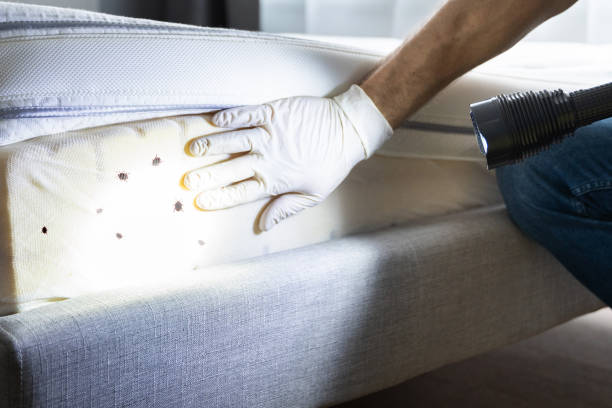 Best Pest Removal Services  in Sugar Grove, IL