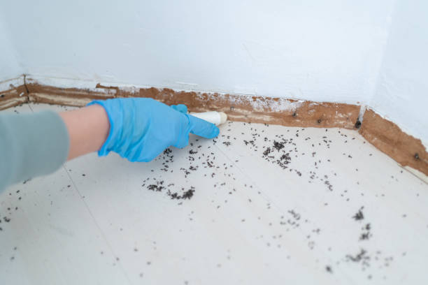Best Residential Pest Control  in Sugar Grove, IL
